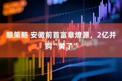 顺策略 安徽前首富章燎源，2亿并购“黄了”