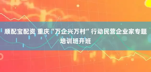 顺配宝配资 重庆“万企兴万村”行动民营企业家专题培训班开班